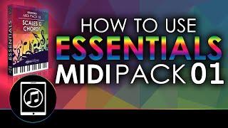 How To Use FREE Essentials Midi Pack 01 - Scales & Chords