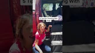5 Tips To Travel With Dogs In An RV