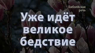 Что, если портал для спасения Свидетелей Иеговы откроется ровно на 30 секунд?