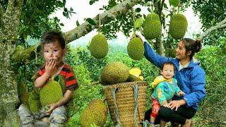 On sunny and rainy days, the single girl harvests everything and sells it to raise children