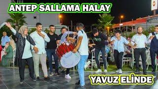 YAVUZ ELİNDE SALLAMA HALAY - OSMANİYE ÇENETLER TESİSİ