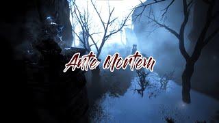 Ante Mortem | BDO Ninja Pvp montage (King Of The Dead)