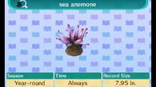 Animal Crossing New Leaf - 100% Deep Sea Encyclopedia Complete