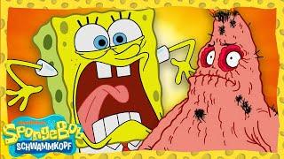 SpongeBob | Jede Folge aus Staffel 11 in 3,5 Stunden! | SpongeBob Schwammkopf