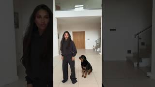 she never misses a beat!! @nalatheneedyrottie #rottweiler