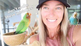 10 COMMON CARE MISTAKES MADE WITH PARROTS