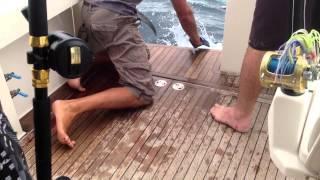 Andys Big Catch