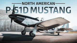 ECHOES OF HISTORY: P-51 MUSTANG ROARS BACK TO LIFE