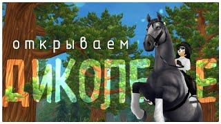 ОТКРЫВАЕМ ДИКОЛЕСЬЕ! STAR STABLE! 