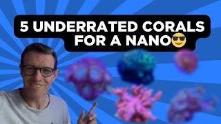 5 Top Corals for a Nano Tank 