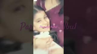 paro and bulbul  #viralvideo #love