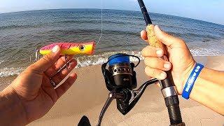 Topwater POPPER Surf Fishing!