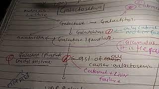 Galactosemia