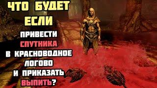 Что Будет Если Привести Спутника в Красноводное Логово? Skyrim Anniversary