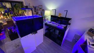 New Reef Tank Build - Waterbox 105.4 Frag - Part 1