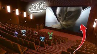 360° CHIPI CHIPI CHAPA CHAPA CAT - In Cinema | 4K VR 360 Video