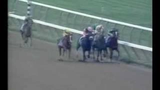 Dehere - 1993 Saratoga Special Stakes