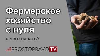 Фермерское хозяйство с нуля: с чего начать?