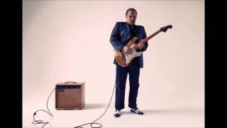 Walter Trout - Transition