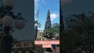 #shorts #wdw #waltdisney #disneyworld #magickingdom #disney #christmas #favoriteholiday