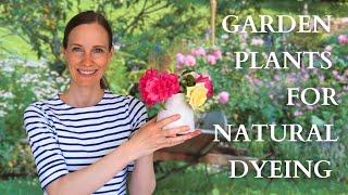 6 Garden Plants you can Use for Natural Dyeing