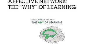 Universal Design for Learning: Back to the Basics – Session 1 Affective Networks