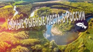 Самые рыбные места в России