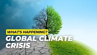 Climate Reality: Global Effects and How You Can Make a Difference