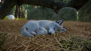 Arctic Wolf cub | Planet Zoo Animals