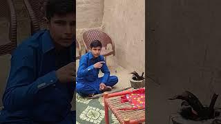 Bagi ki village life #villagefamilyvlogs #bagikivillagelife #villagelifestyle
