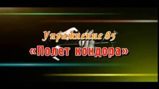 Упражнение №85.  «Полет кондора»