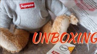 Supreme Steiff bear unboxing