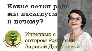 Какие ветки рода мы наследуем и почему?