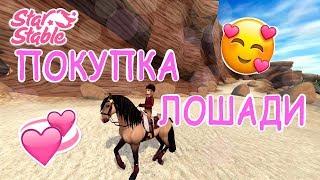 ПОКУПКА ЛОШАДИ! | Star Stable Online | Liza Star