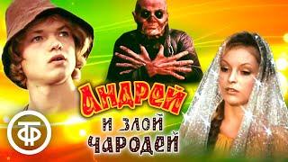 Андрей и злой чародей. Фильм-сказка (1981)