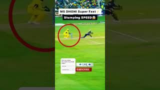Jersey 7"MS Dhoni  Lighting Behind the Stumps   Real Speed #MSDhoni