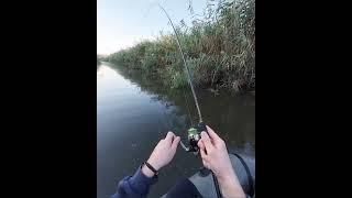 Балик ови 2024#fishing #рыбалка