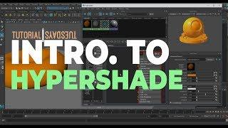 INTRODUCTION TO MAYA HYPERSHADE!