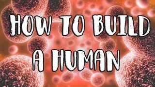 How to Build a Human