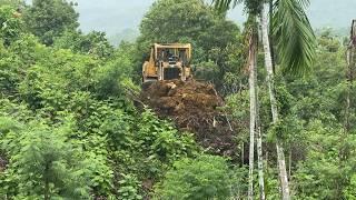 Technical Achievements of the D6R XL Bulldozer Building a Palm Tree Terrace on the Mountain