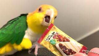 Red birbAzuki MonakaYellow birb