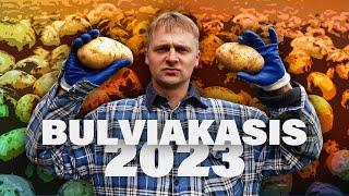 BULVIAKASIS 2023