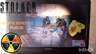 Как получить много золотых рыбок в S.T.A.L.K.E.R. Call of Pripyat