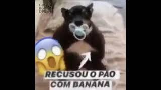 recusou o pão com banana