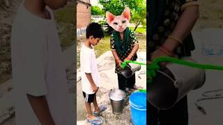 cat  sound  Pani lao re  #funny #cute #animals #comedyfilms