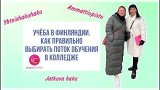 Учёба в Финляндии. Как правильно выбирать поток обучения в колледже.