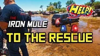 Rescue Mule