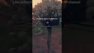 #nature how's it video please comment me 