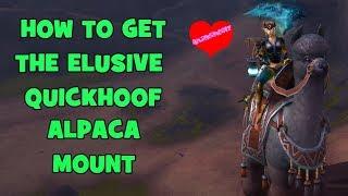 WoW BfA 8.3 - How to get the Elusive Quickhoof Alpaca mount in Vol'dun