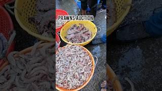 Prawns auction #fishing #seafood #seafoodslover